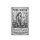 Pure Water - Anticloro